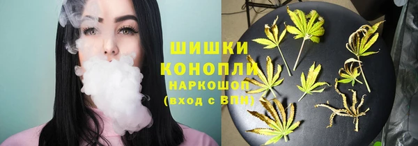 стаф Лабытнанги