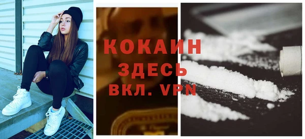 спиды Лагань