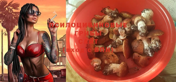 мдма Ладушкин