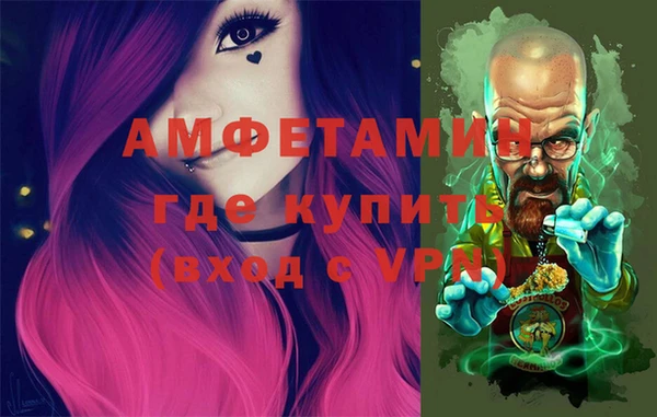 стаф Белокуриха