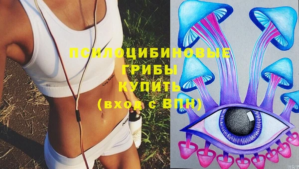 стаф Лабытнанги