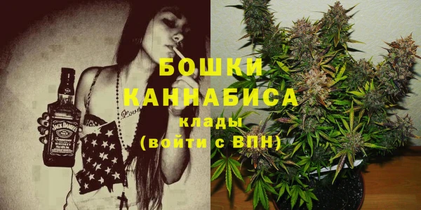 спиды Лагань