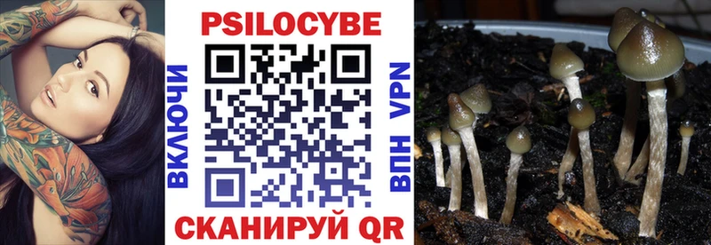 Псилоцибиновые грибы Magic Shrooms  наркошоп  Зверево 