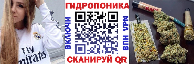 Конопля индика  Зверево 